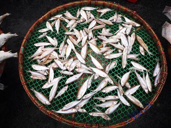 High angle view of fish in basket