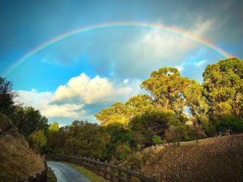 Scenic view of rainbow over trees against sky