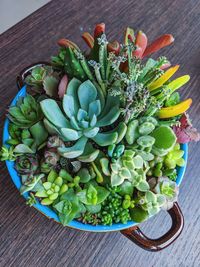 High angle view of vegetables on table