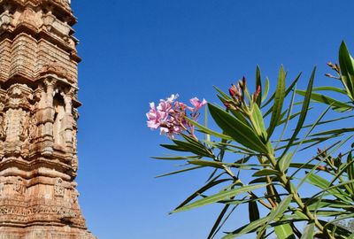 Low angle view of tree against clear blue sky