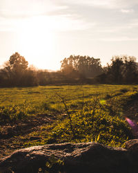 Scenic view of field against sky during sunset