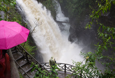 Scenic view of waterfall