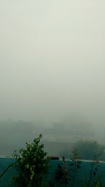 Scenic view of tree against sky