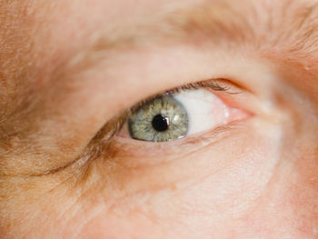 Human blue colored eye, close up photo