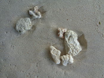 sand