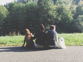 Rear view of woman with dog sitting at park