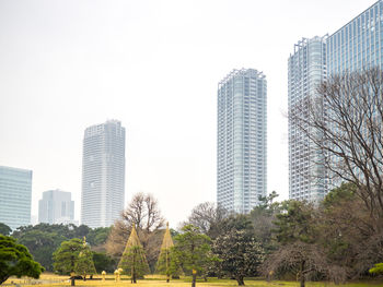 Trees and buildings against clear sky