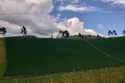 Scenic view of field against sky