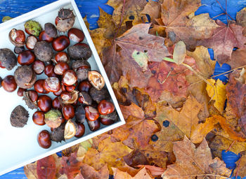 Close-up of chestnuts in tray by leaves on table during autumn