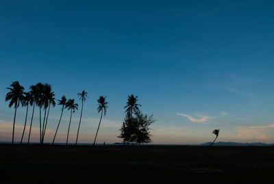 Silhouette palm trees on beach against sky at sunset
