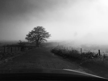 Road by trees against sky seen through car windshield