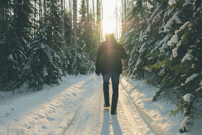 Rear view of person walking on snow covered land
