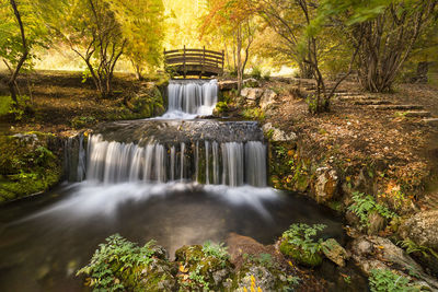 Waterfall in forest