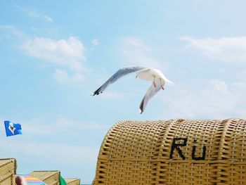 Low angle view of seagull flying over hooded beach chair against sky on sunny day