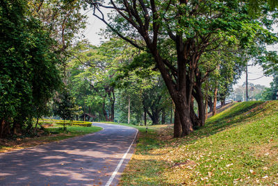 Road amidst trees against sky