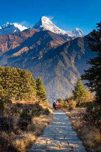 Road amidst plants and mountains against sky