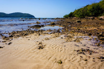 Scenic view of beach against clear sky