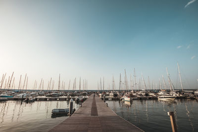 Sailboats moored in harbor