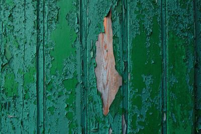 Full frame shot of painted wood