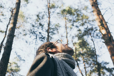 Low angle view of man in forest