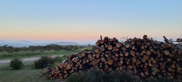 Stack of logs in forest against sky during sunset
