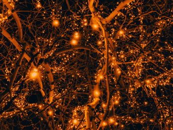 Illuminated christmas lights at night