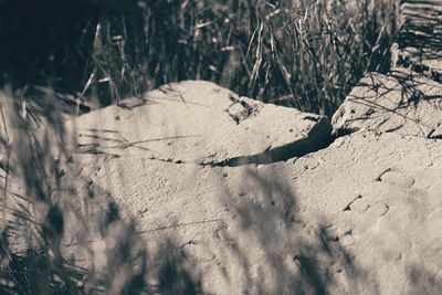 Close-up of sand on beach