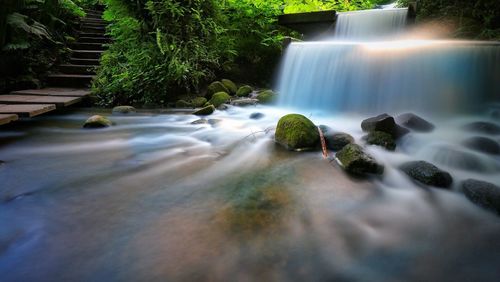 Scenic view of waterfall in forest