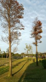 Scenic view of grassy field against sky