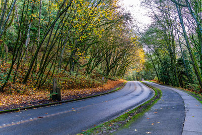 A view of late autumn trees and the road into seahurst beach park in burien, washington.