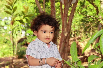 Close up portrait of a small asian child standing in the garden and holding a dried tree leaf 