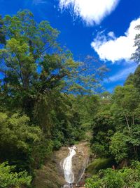 Stream flowing through rocks