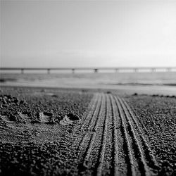 Surface level of beach