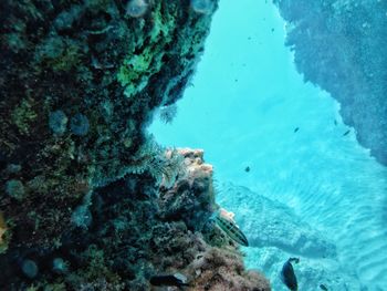 Underwater rocks