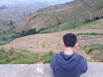 Rear view of man looking at field