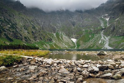 Scenic view of river flowing through rocks