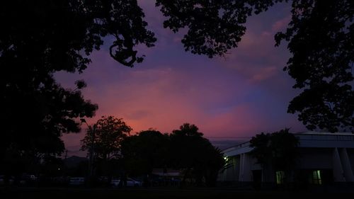 Silhouette trees against dramatic sky during sunset