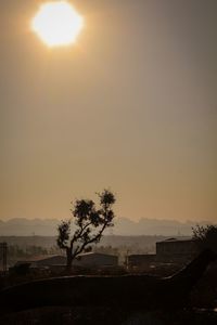 Silhouette tree against sky during sunset
