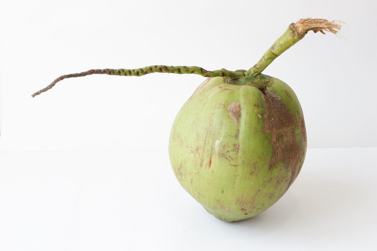 CLOSE-UP OF FRESH GREEN FRUIT AGAINST WHITE BACKGROUND