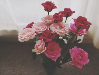 Close-up of pink roses