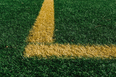 High angle view of grass on field