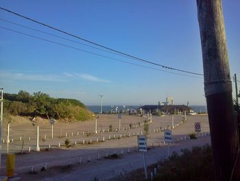 Trees against clear blue sky