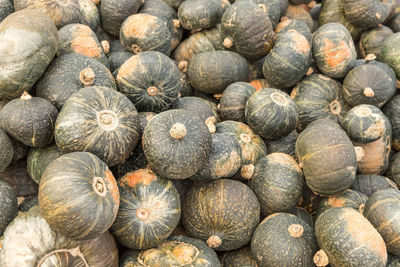 Full frame shot of pumpkins