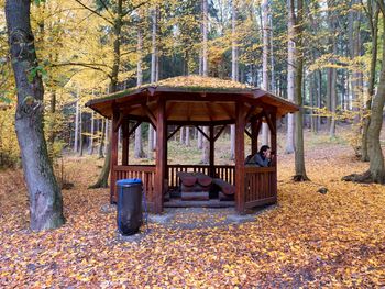 Nice wooden shelter or pavilon in autumnal forest. place for hikers. environment protect of nature