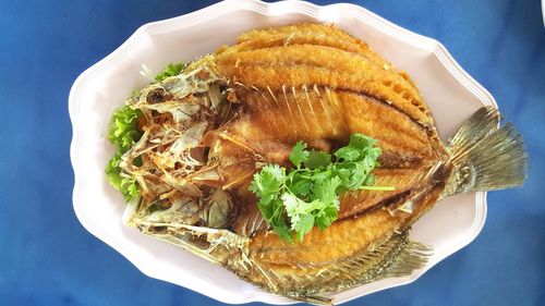 High angle view of meal served in plate