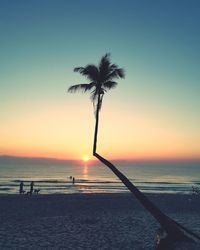 Silhouette palm trees on beach against clear sky at sunset
