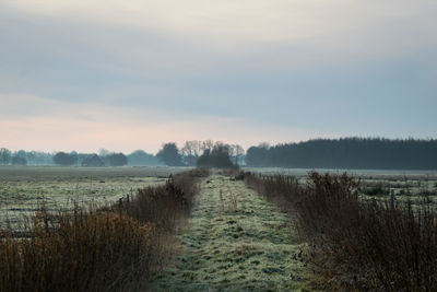 Scenic view of land against sky