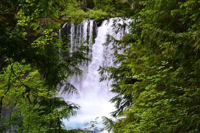 Low angle view of waterfall