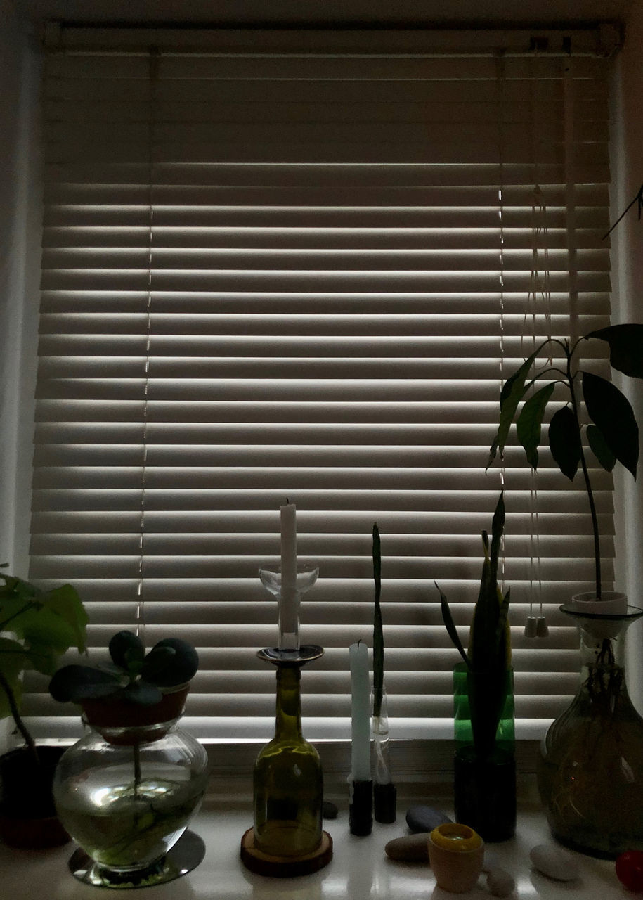 CLOSE-UP OF POTTED PLANTS ON TABLE