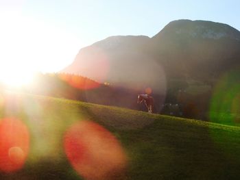 Scenic view of field against clear sky during sunset